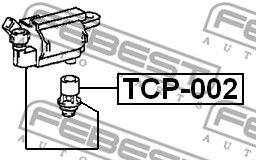 

НАКОНЕЧНИК КАТУШКИ ЗАЖИГАНИЯ, TCP002