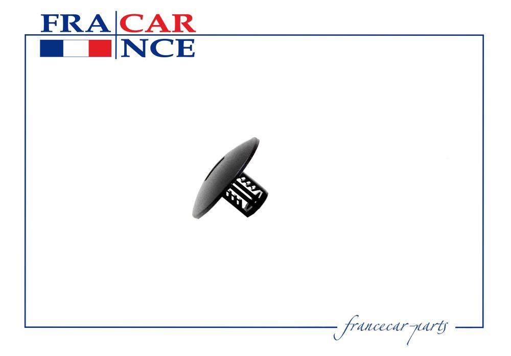 

ПИСТОН БРЫЗГОВИКА, ПОДКРЫЛКА RENAULT FCR211185, FCR211185