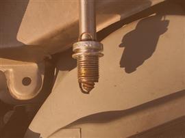 597af5989c933e14b4325686.jpg?v=636368380798030000