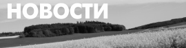 Безымянный-3-min (2).png